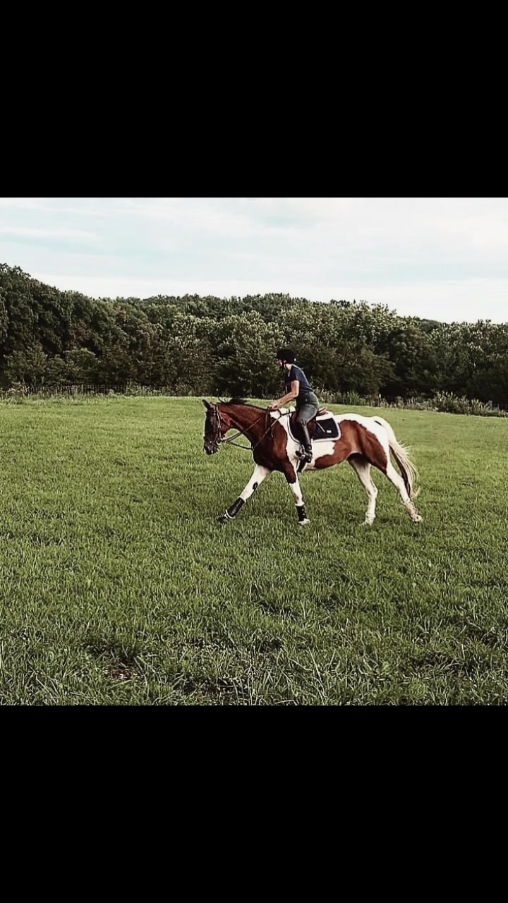 @📚Rebecca N Doodles🐎