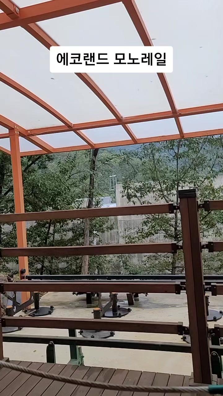 @funny션니