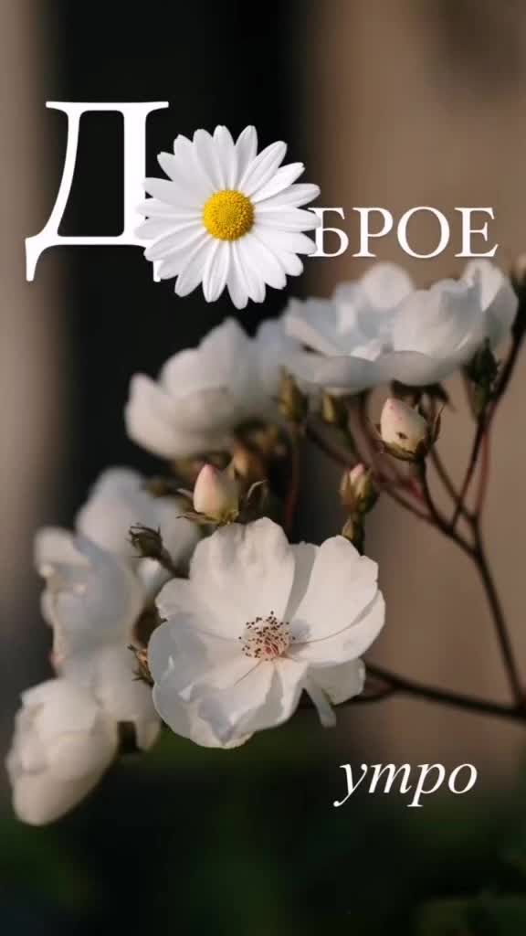 @марья