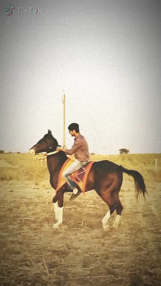 @Dhruv Bopaliya