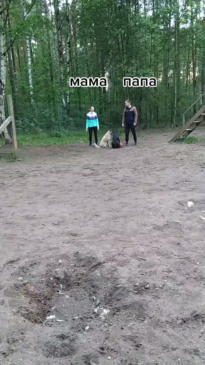 @user9574995598252
