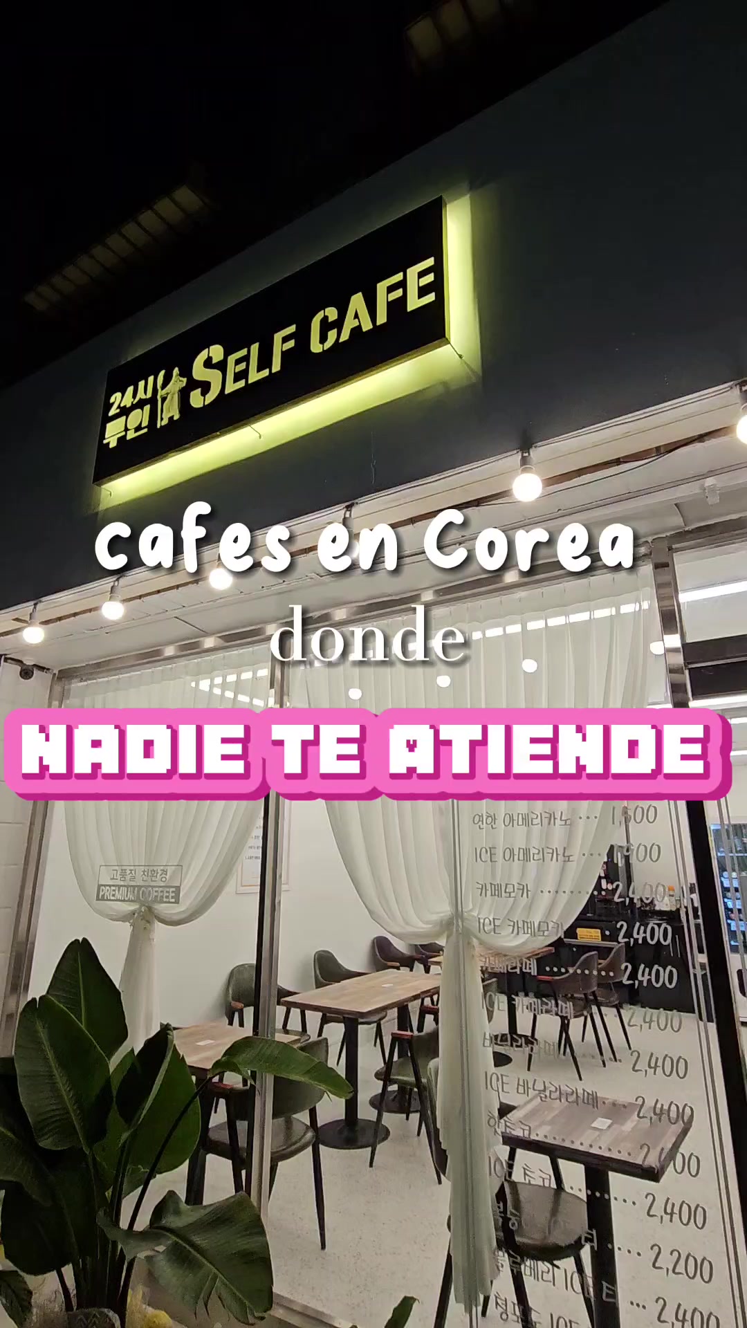 @Daniela Campo
