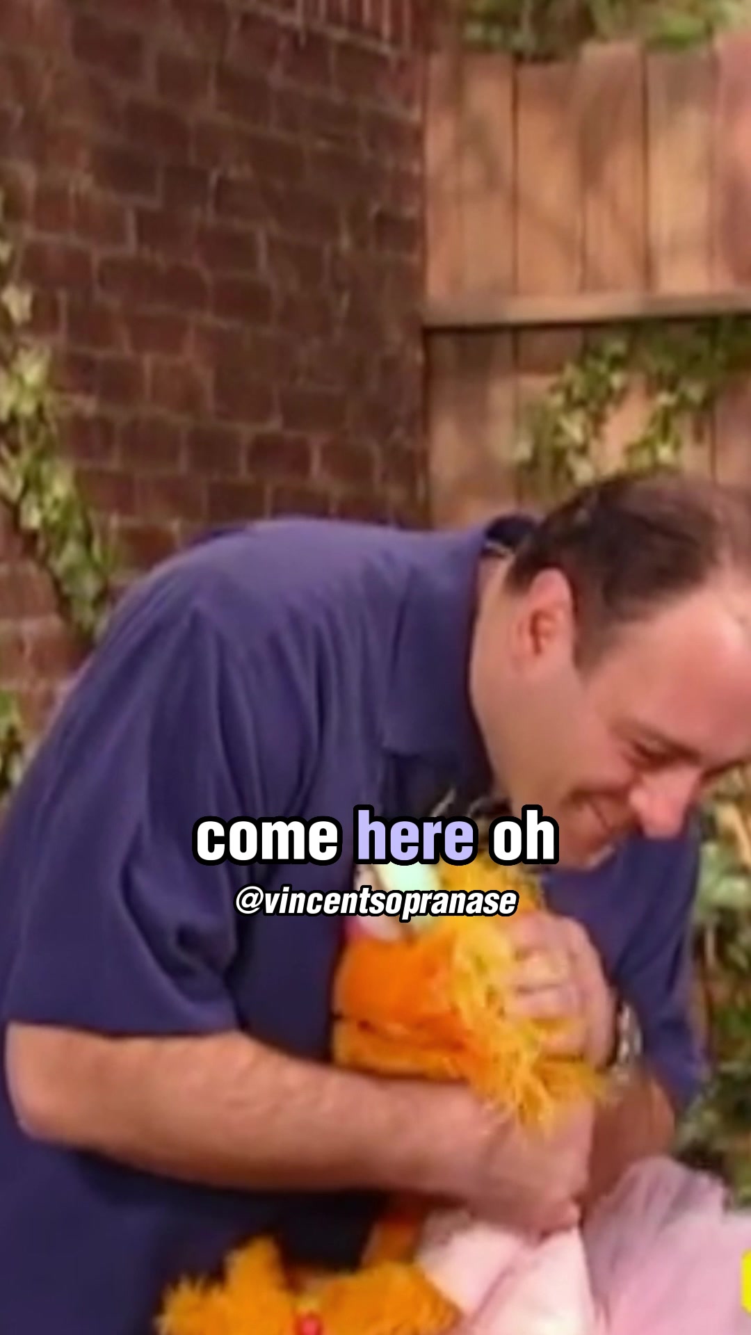 @Vincent Sopranase