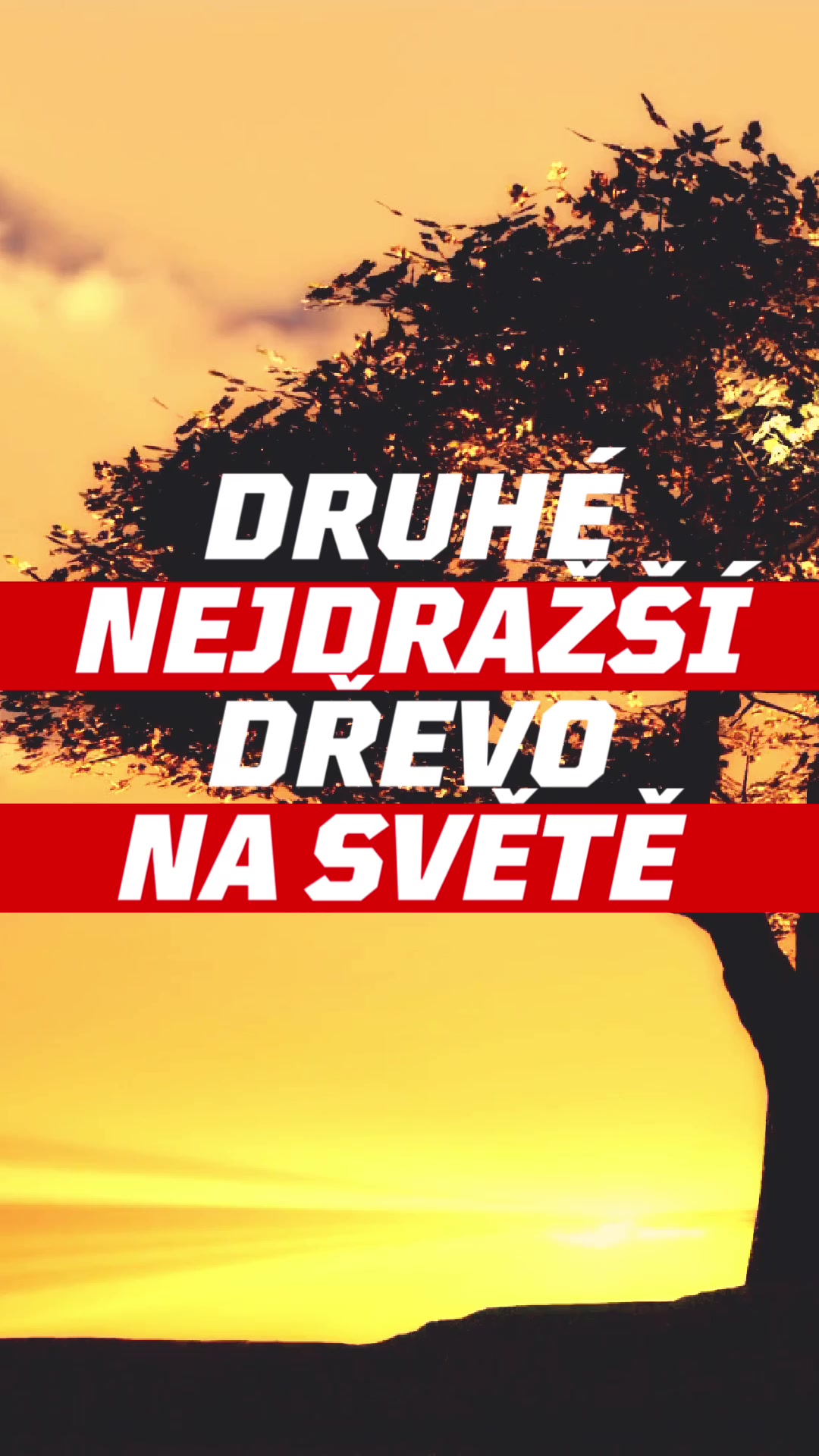 @Stromovous