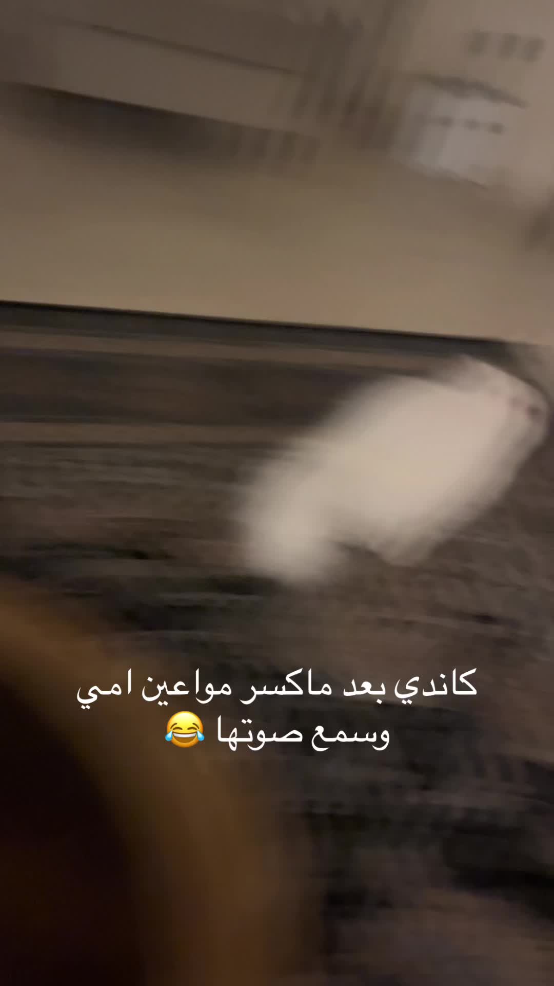 @user39556571203