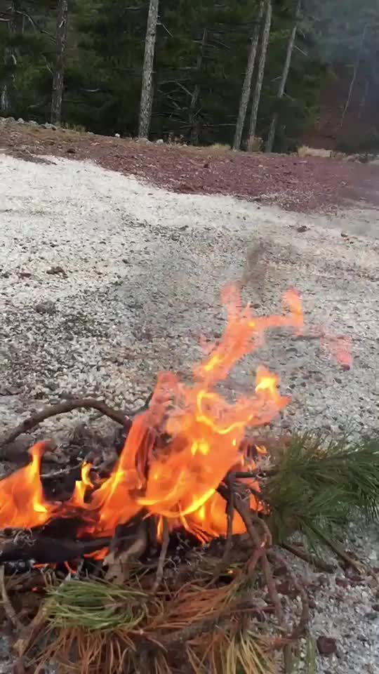 @hnfffe