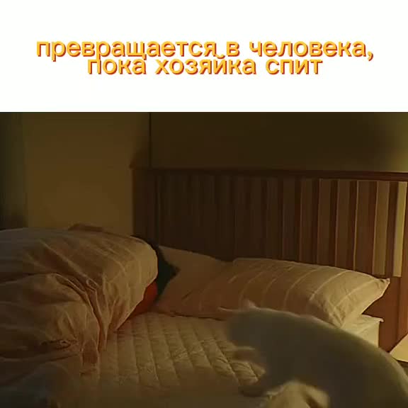 @Дорамы