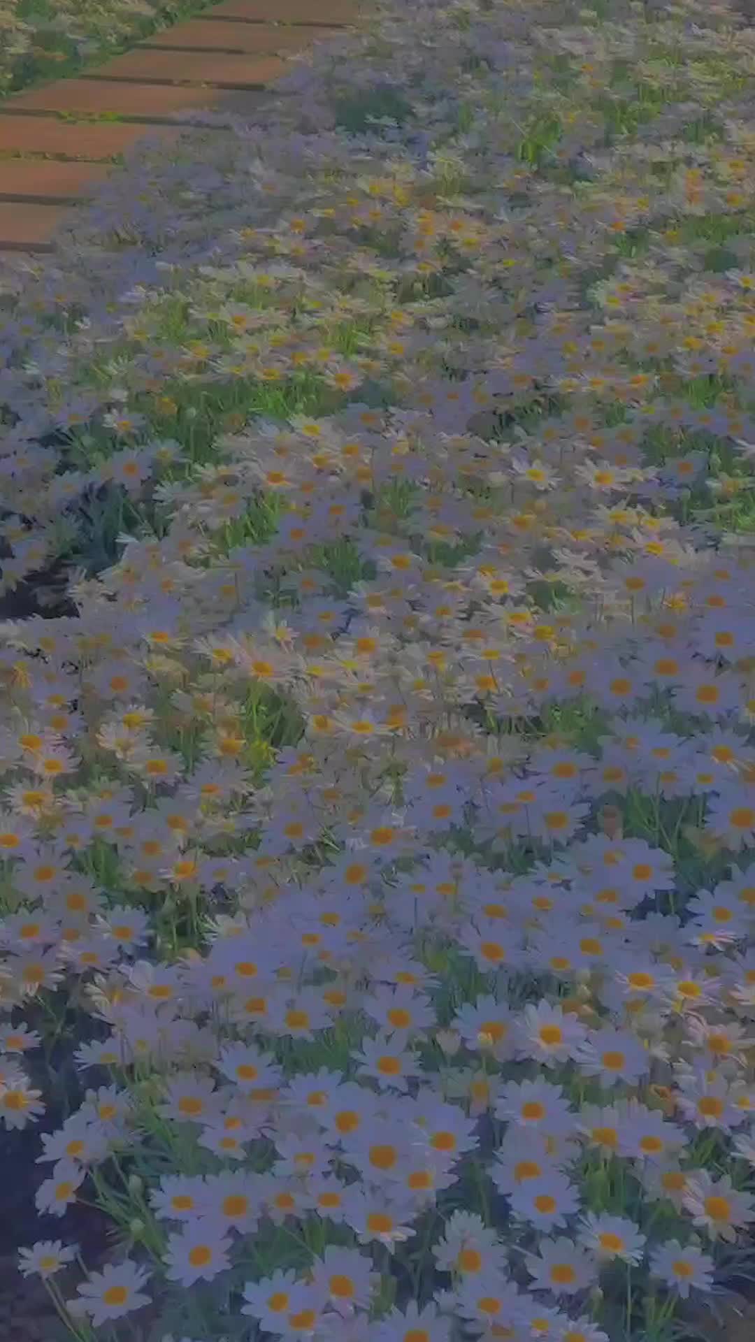 @bbyyeol_