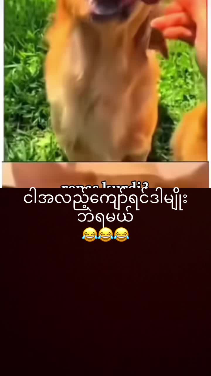 @myohlaingwin