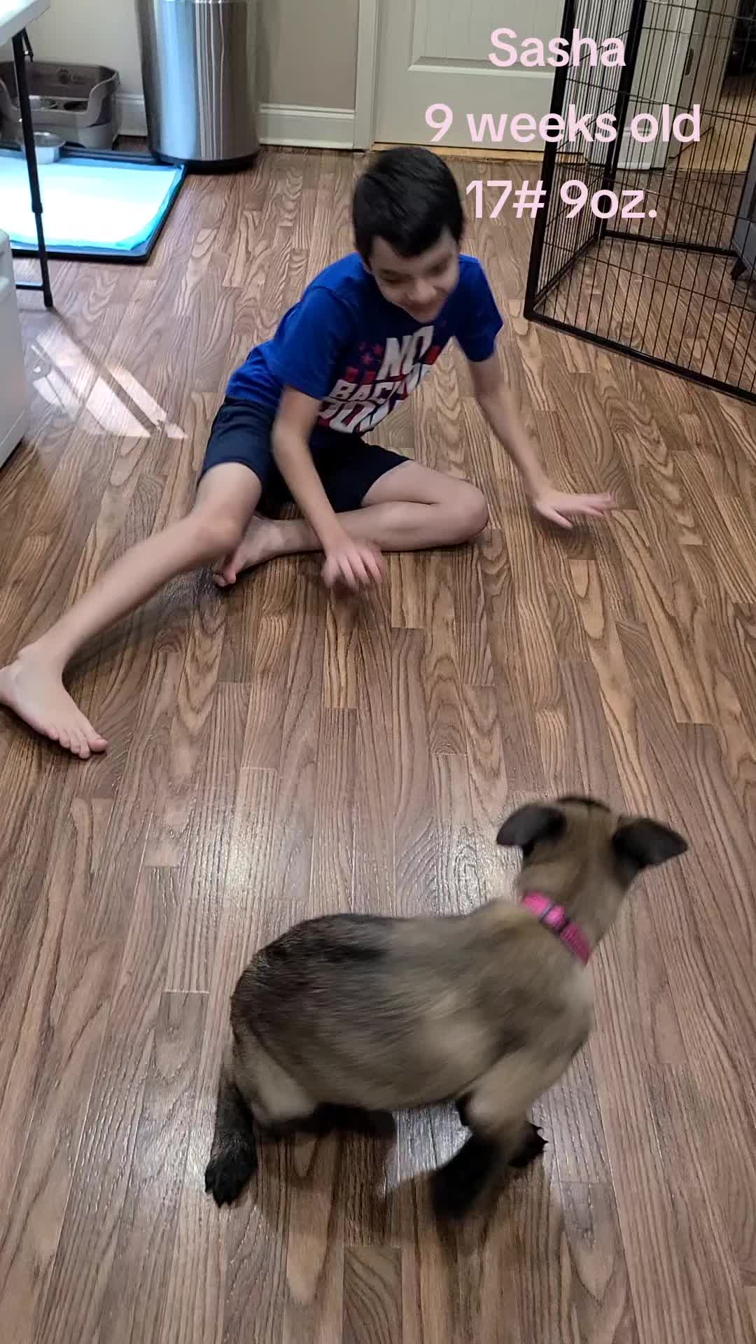 @My Mali Zelda