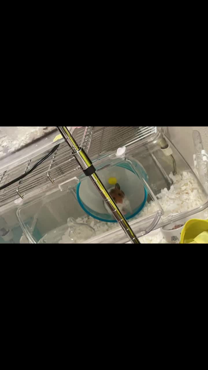 @クッキーモンスター