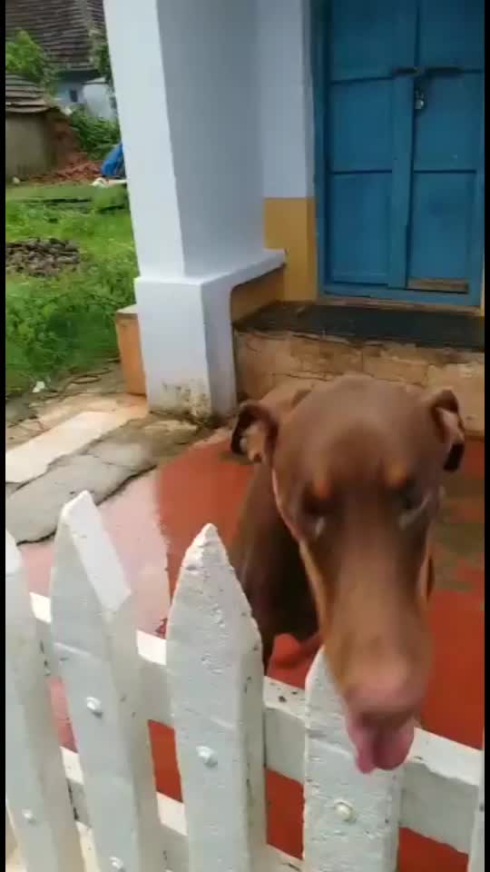 @madhv217