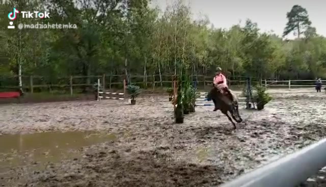 @Końska Grupa🐎