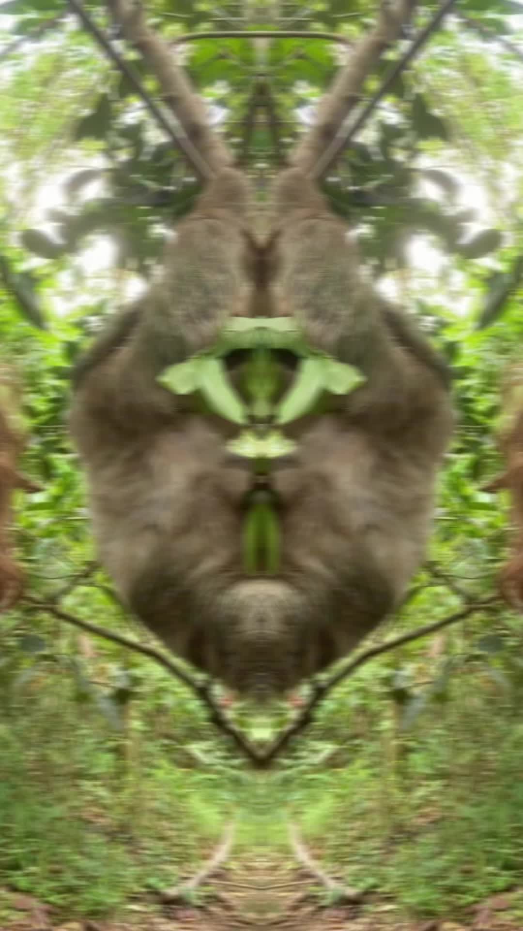 @Andy@420