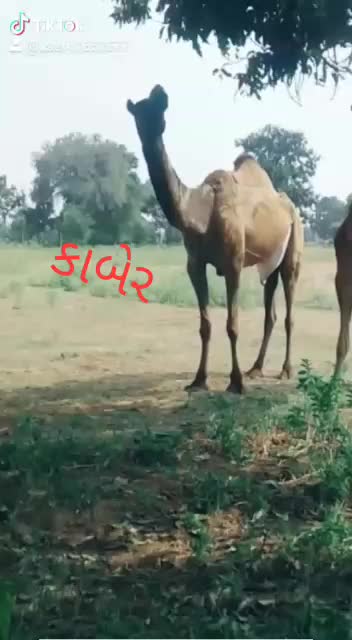 @Rutvik Desai