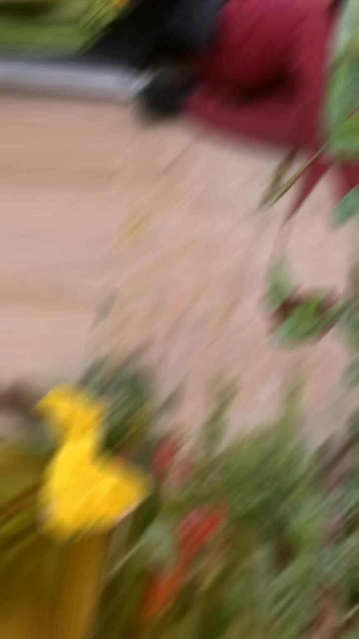 @TILU