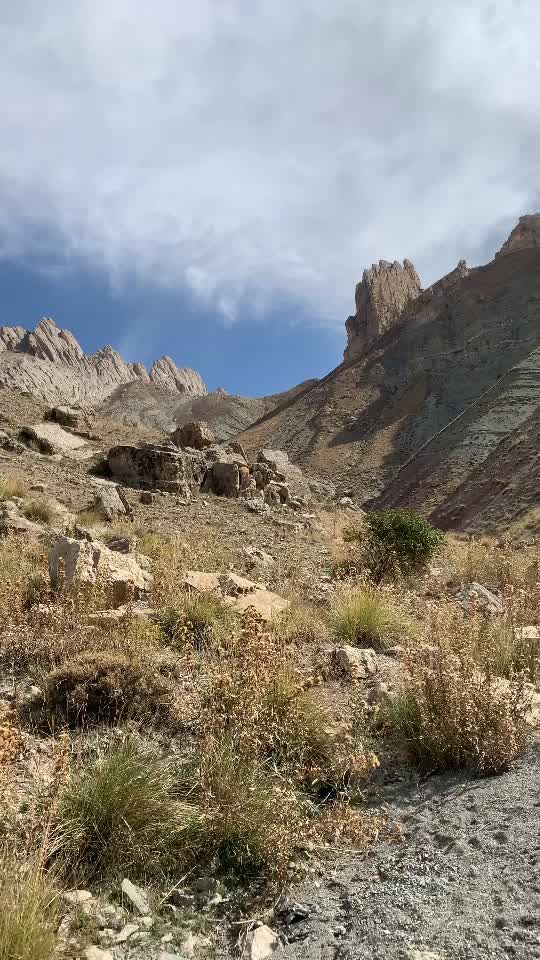 @Tuncer Aras