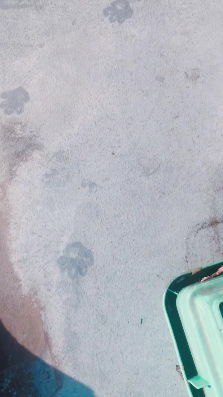 @Einシュタing