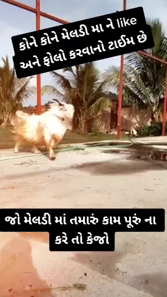 @Divyesh Thakor142