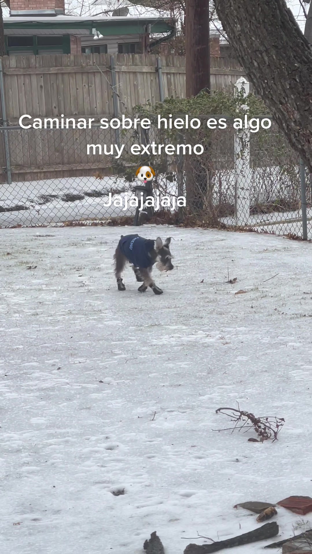 @🐶🐾