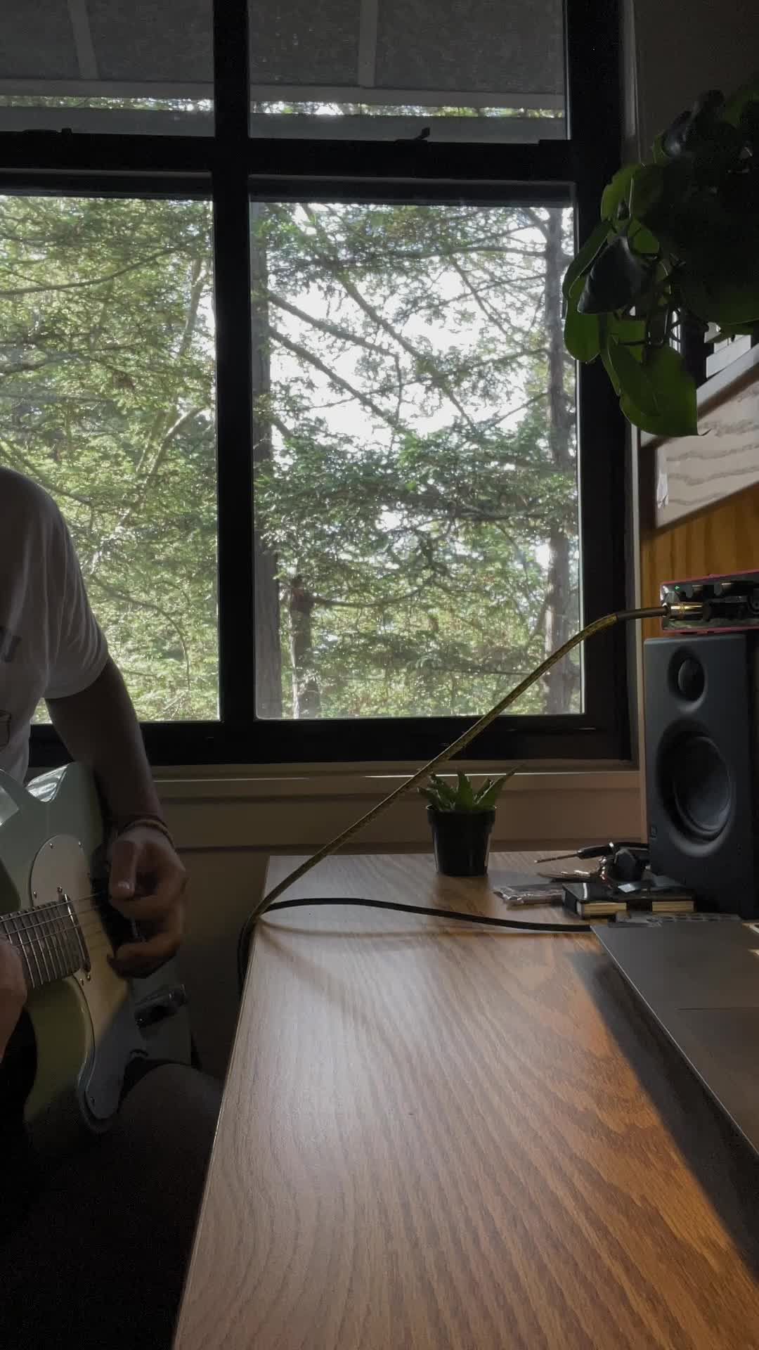 @Guitar Tickler &trade;️