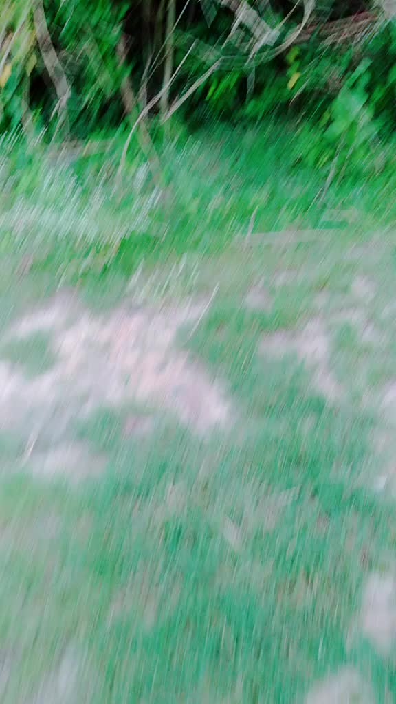 @Lalu Kumar thakur