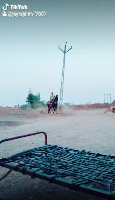 @jayrajsinh_7007