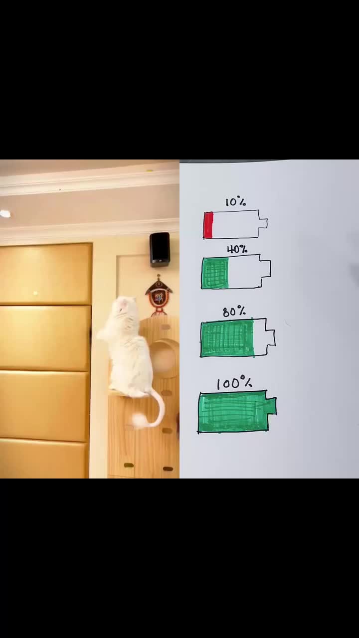 @maxdaf3