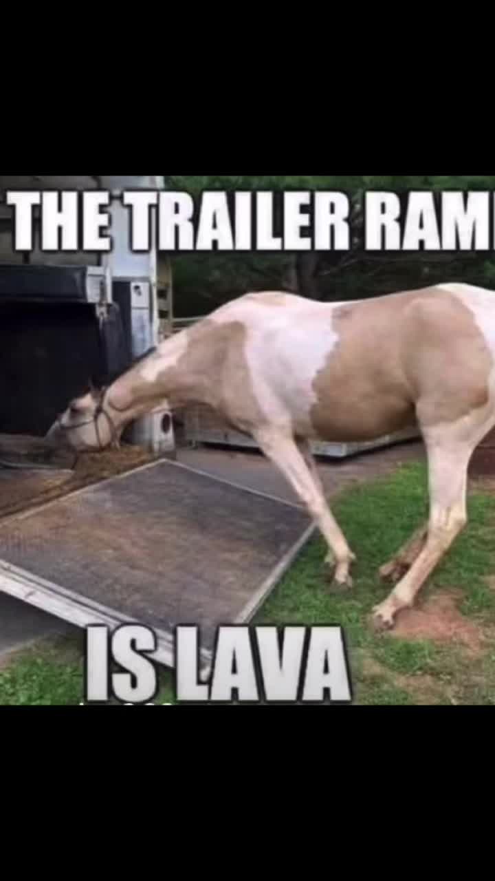 @🏇🏻 нorѕe rιdιng 🏇🏻