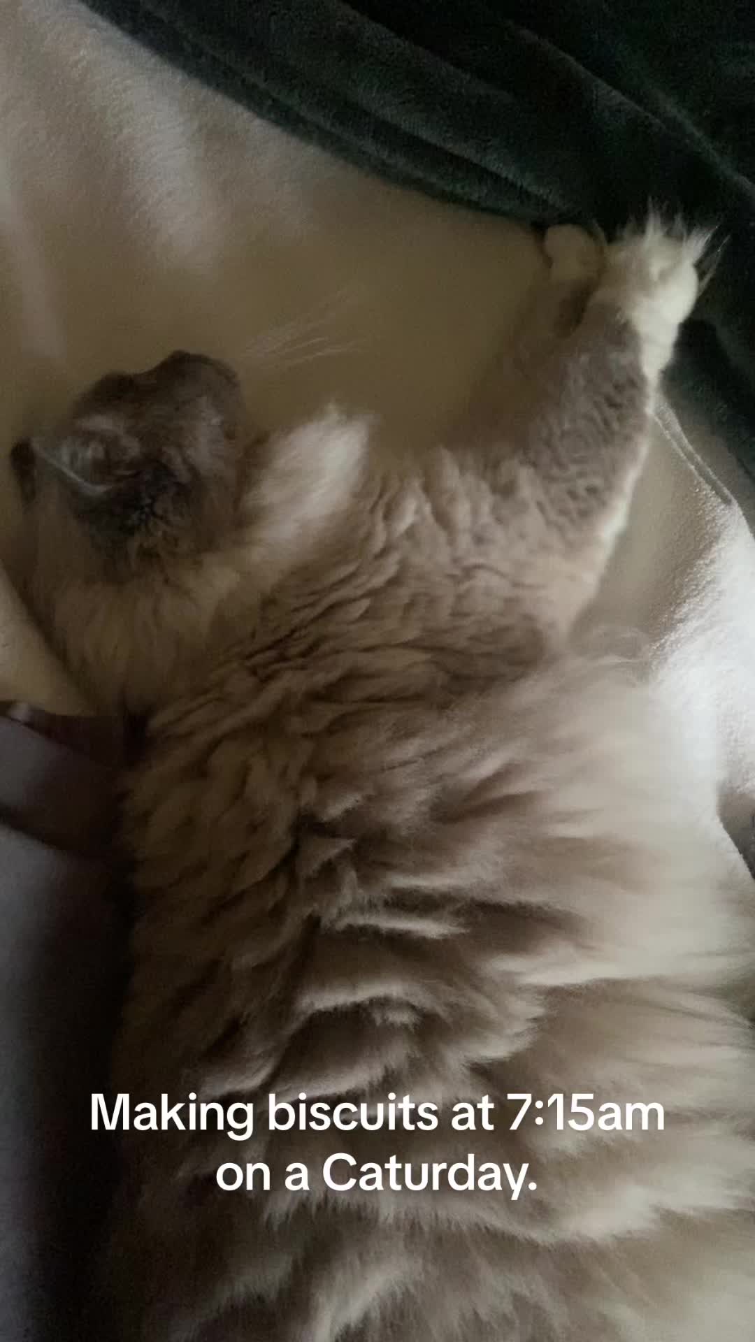 @moresadrobotss