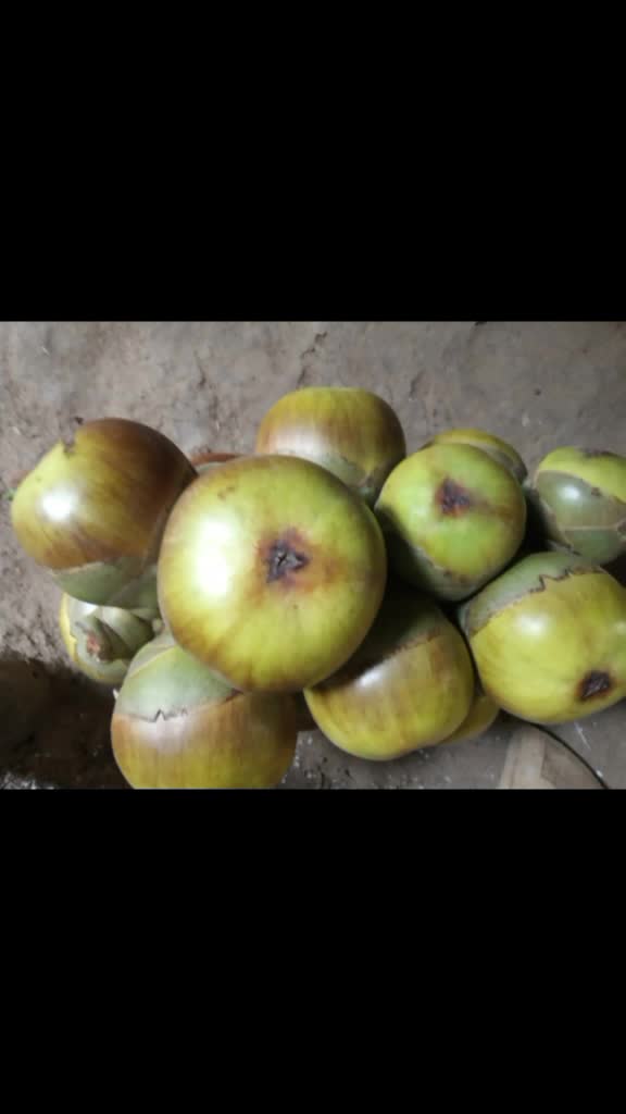 @Nilakantha jena