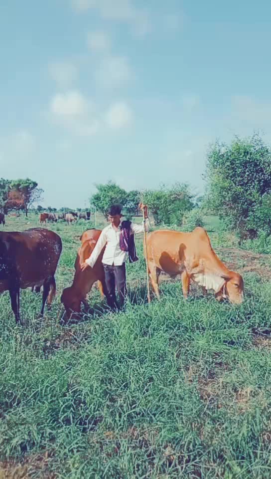 @Dinesh Lamka