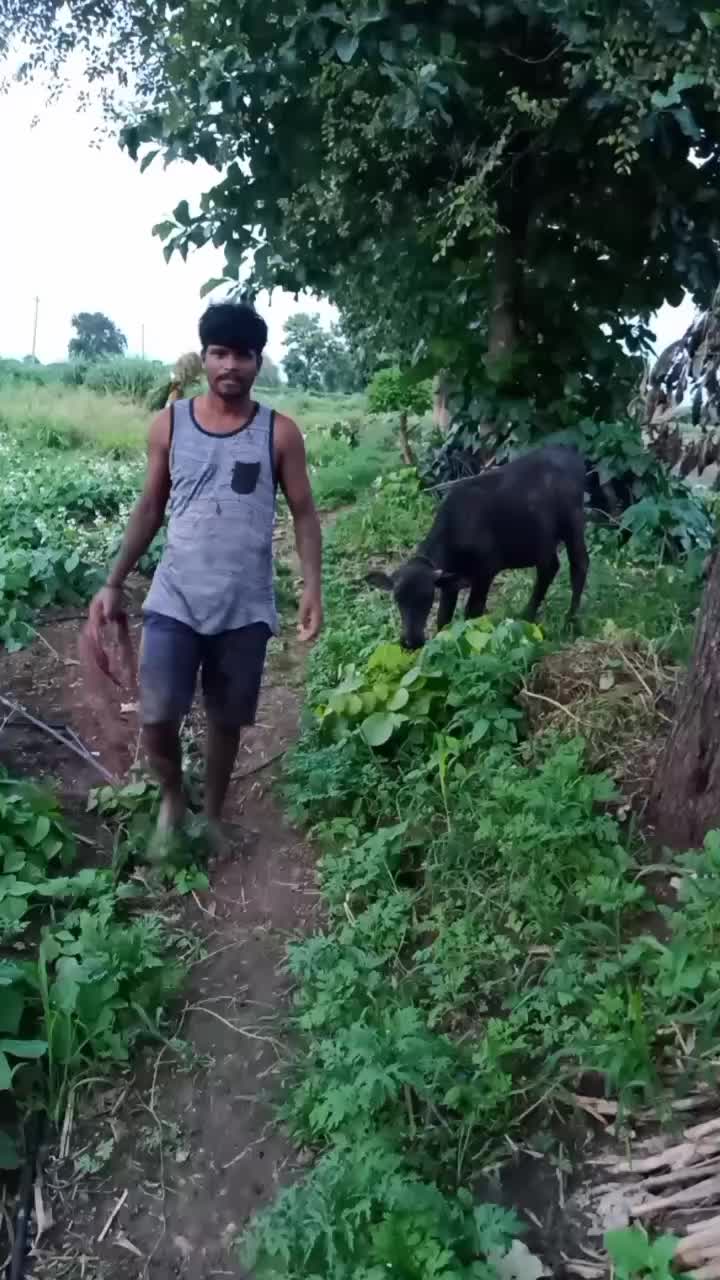 @రైతుబిడ్డ (ఆర్మీFAN)