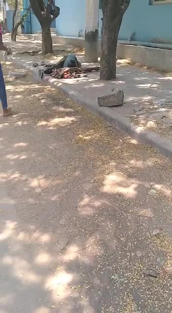 @Geethapualgiri66