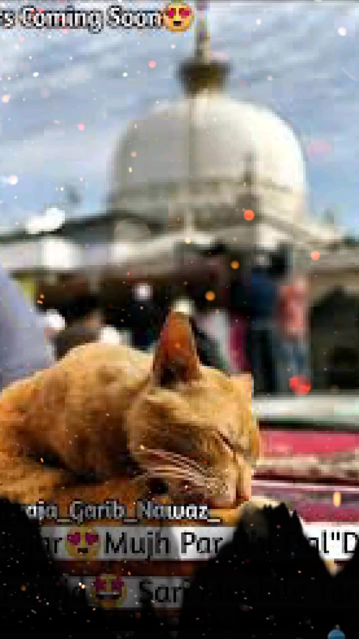 @👑 khwaja ji 👑