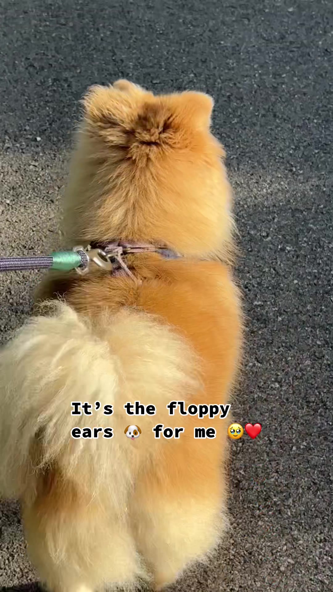 @Nesly