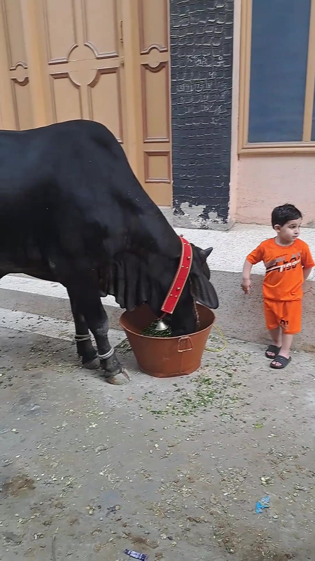 @Hassan jaan