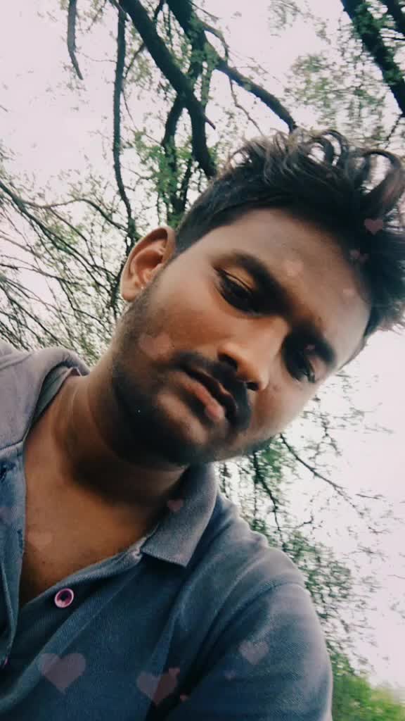 @pavan