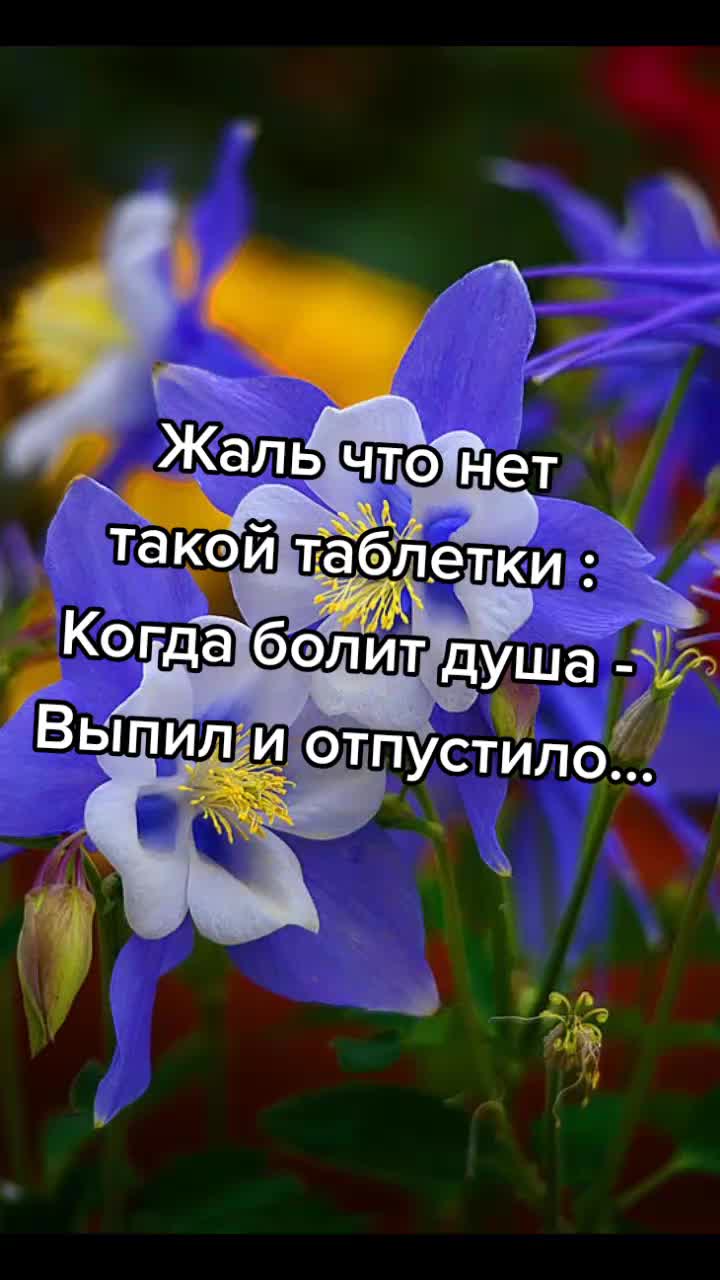 @Irinka💐