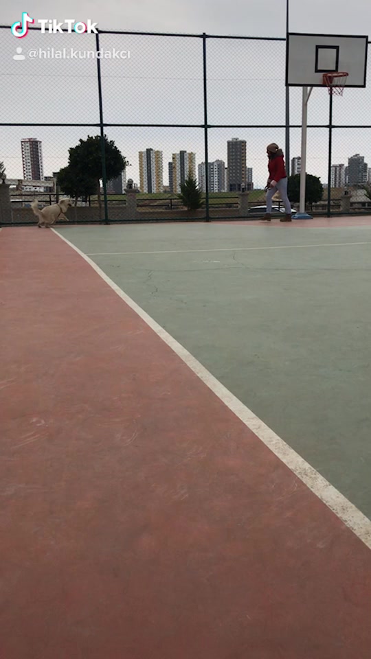 @Hilal Kök
