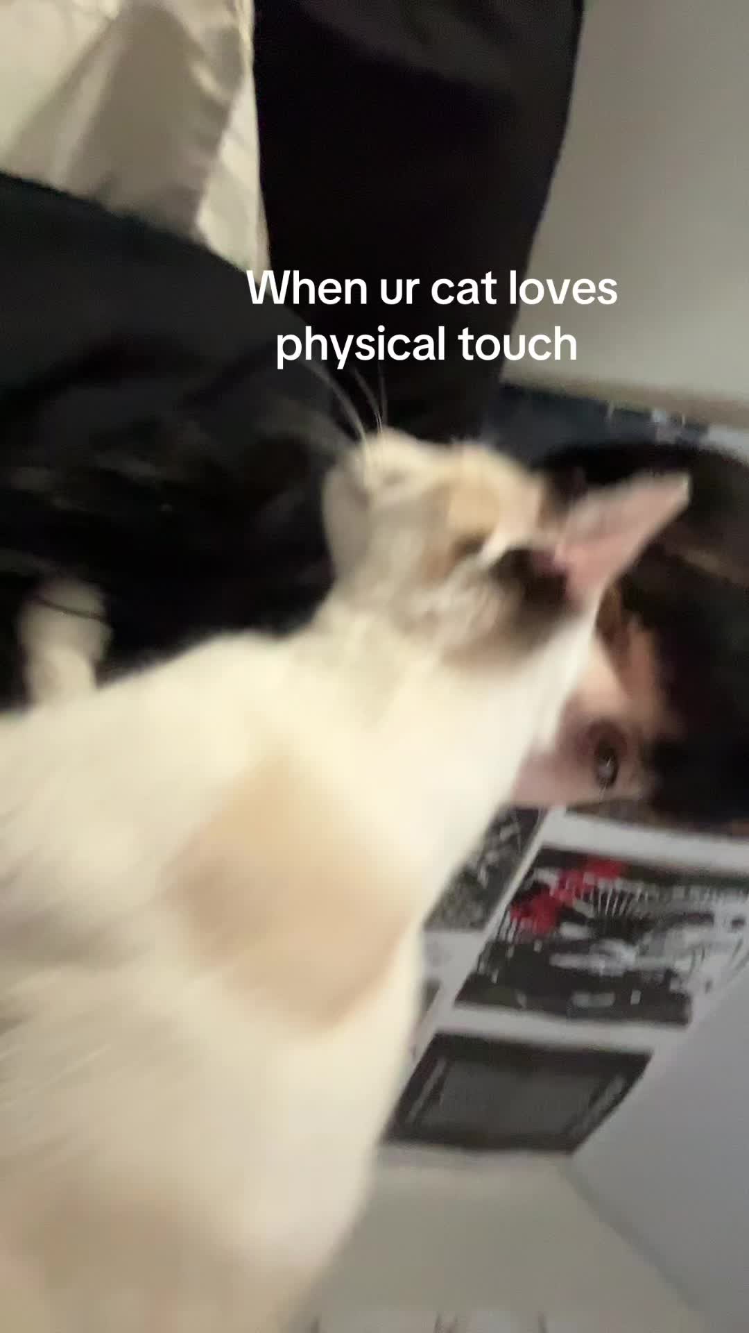@klltorii