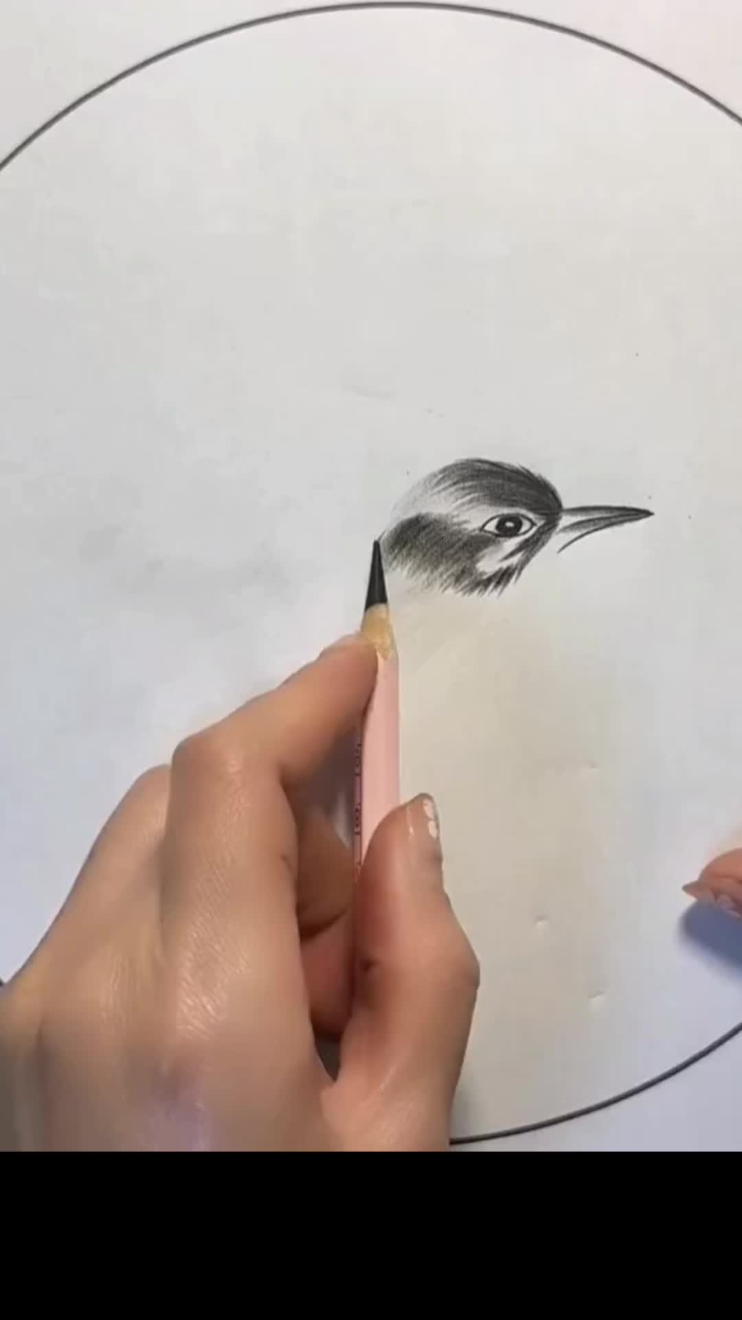 @blanche3121