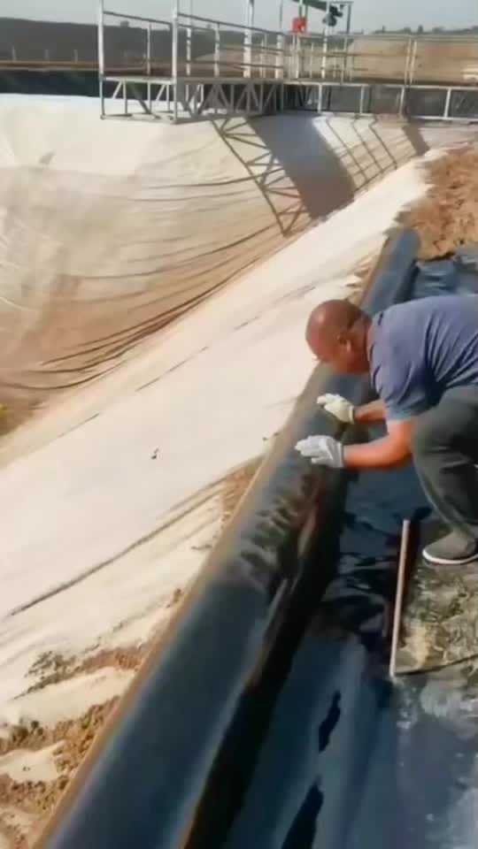@Pescanzuelo Del America