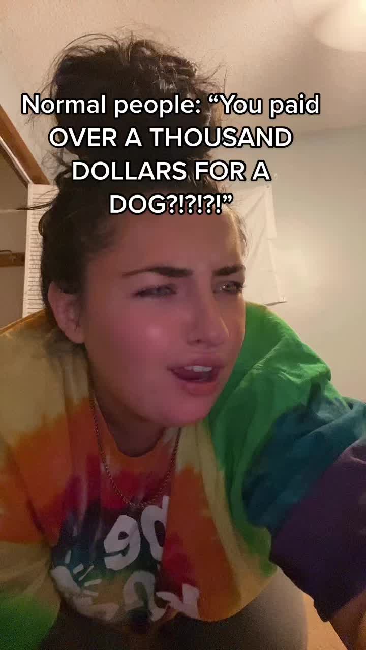 @Kiley - dog trainer