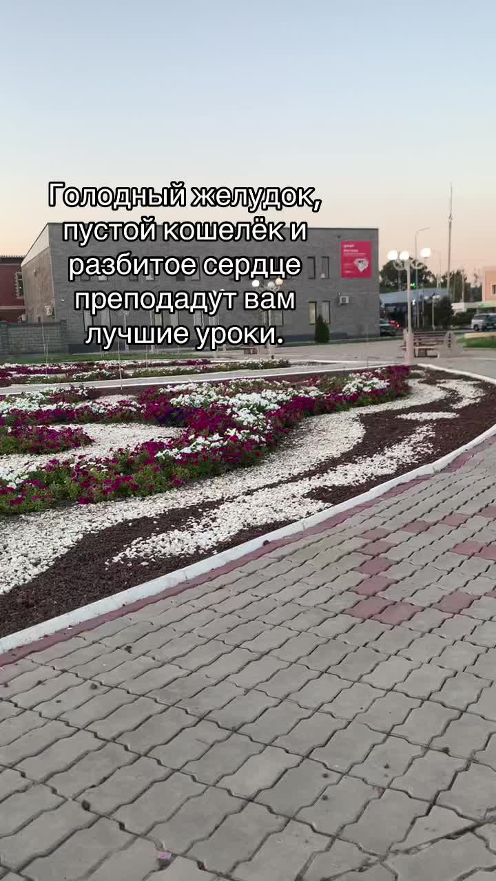 @beka_goi