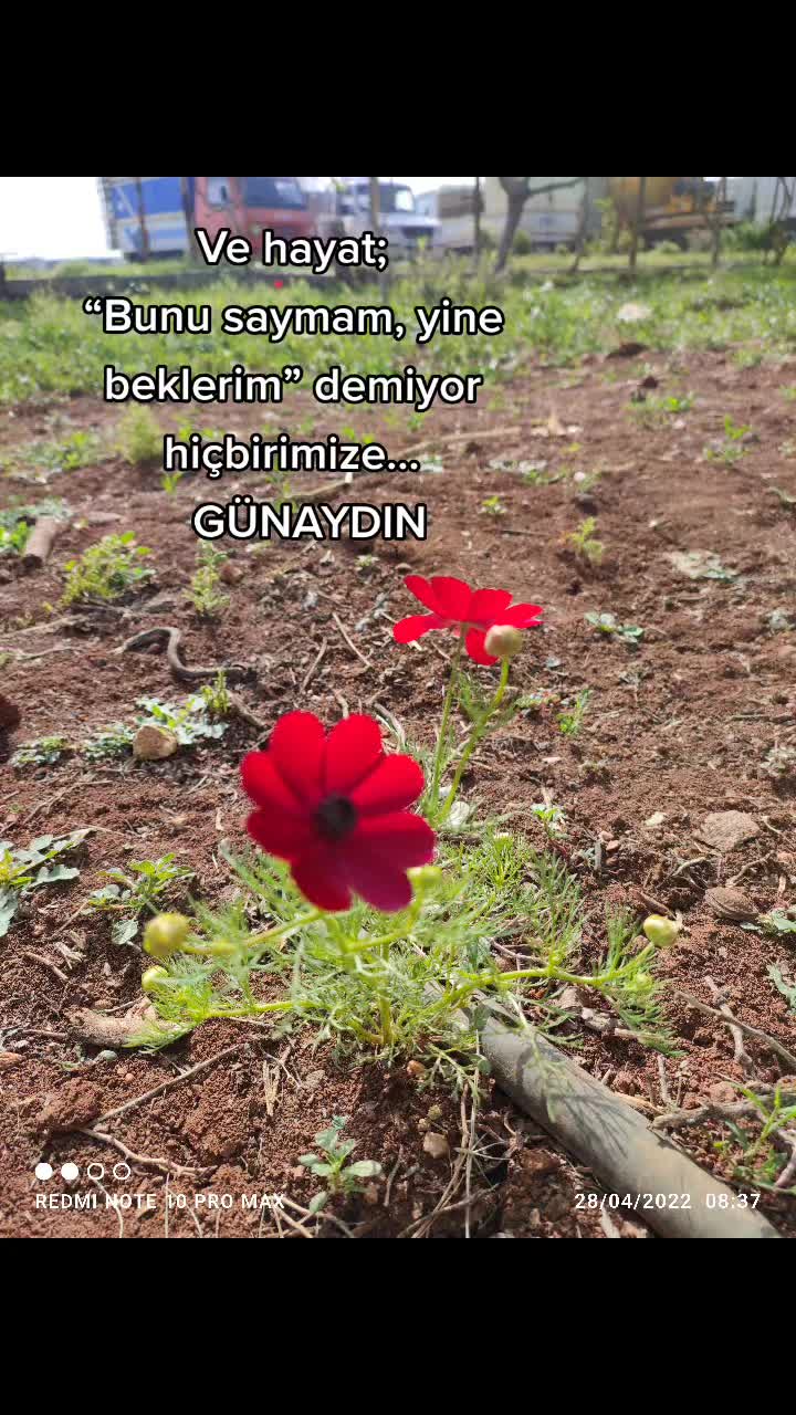 @kitap_kokusu
