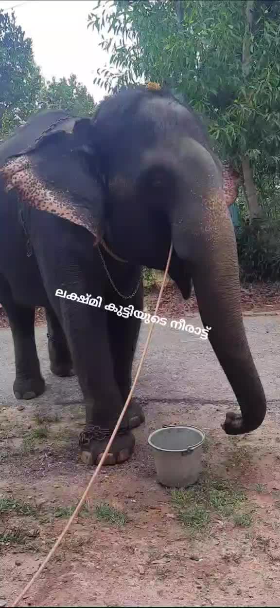 @chandhuSivaaaaa