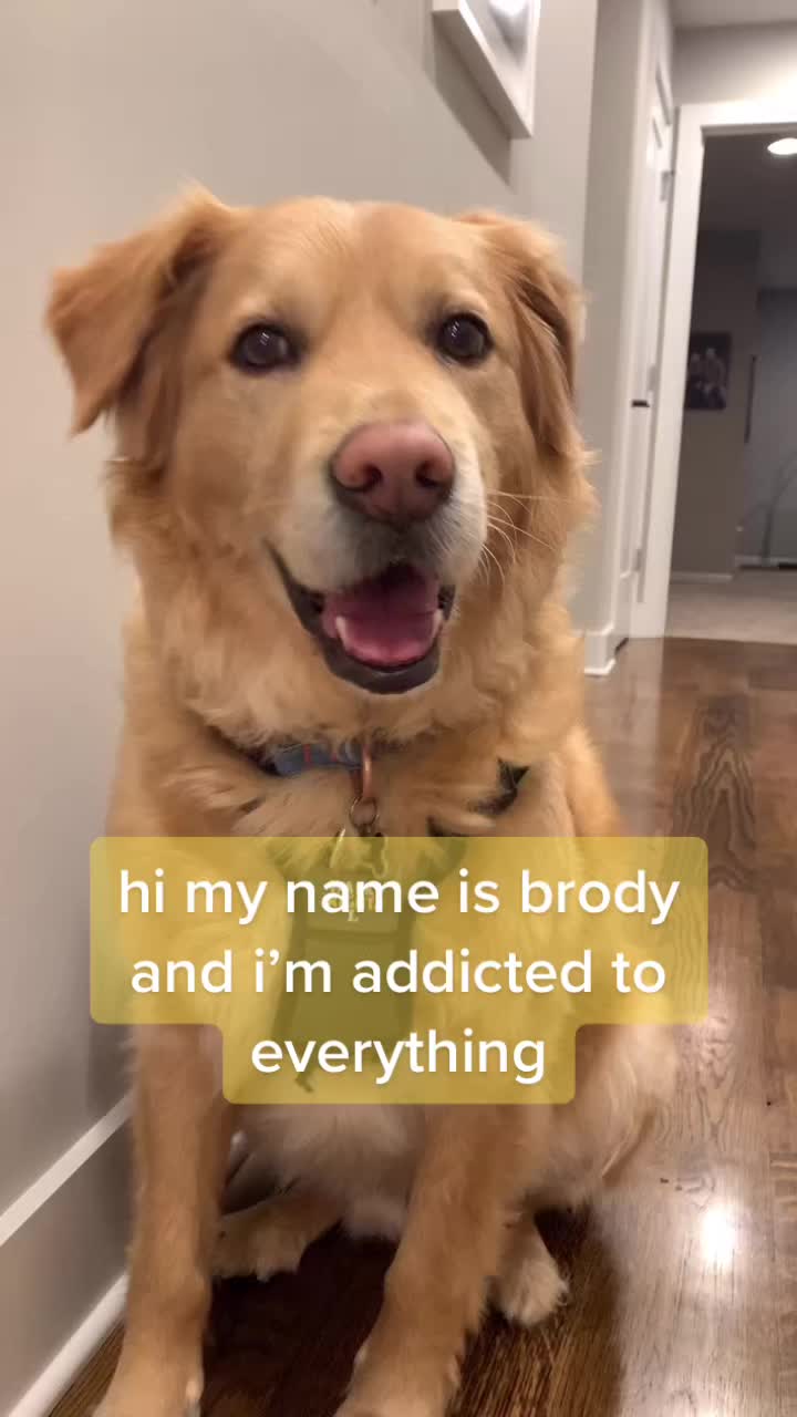 @B R O D Y