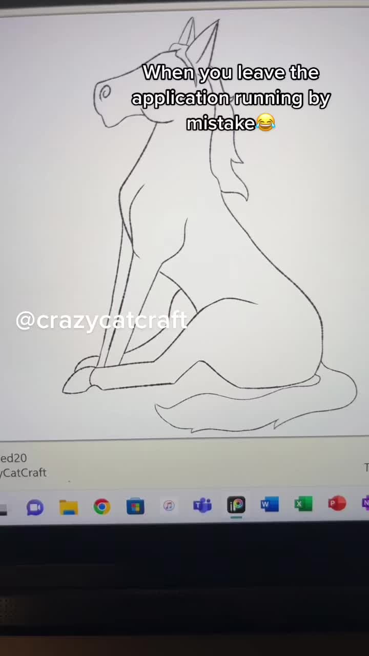 @CrazyCatCraft