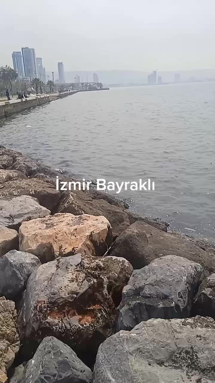 @💫Delal💫